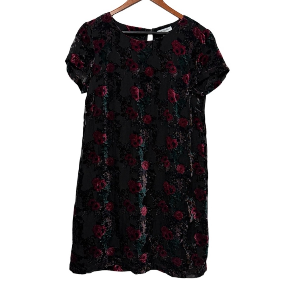 Carolina Belle Black Velvet Burnout Floral Montreal Dress Sz 8 Witchy Whimsical